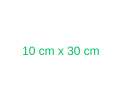 Opatrunek włókninowy z wkładem chłonnym Elastopor STERIL 10cm x 30cm (25 szt.)