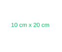Opatrunek włókninowyz wkładem chłonnym Elastopor STERIL 10cm x 20cm (1 szt.)