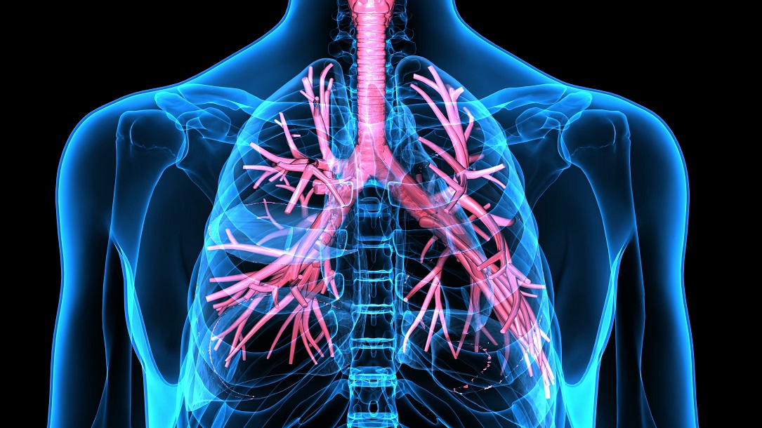 Profilaktyka chorób układu oddechowego