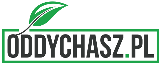 Logo-Oddychasz(1).png